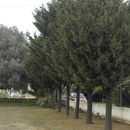 Cielo Stellato * ヴィットーリア