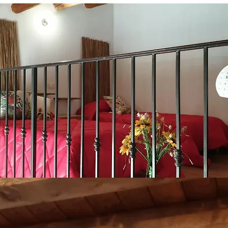 Cielo Stellato ヴィットーリア