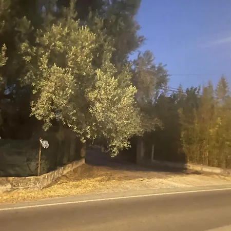 Cielo Stellato Σπίτι διακοπών *