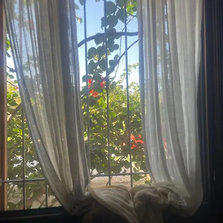 Cielo Stellato ヴィットーリア